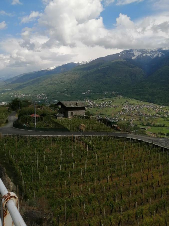 Casa Vacanze La Ca Del Cunfec Sondrio Exteriör bild