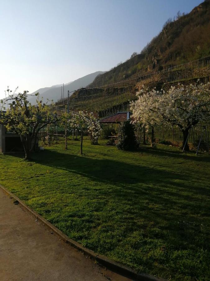 Casa Vacanze La Ca Del Cunfec Sondrio Exteriör bild